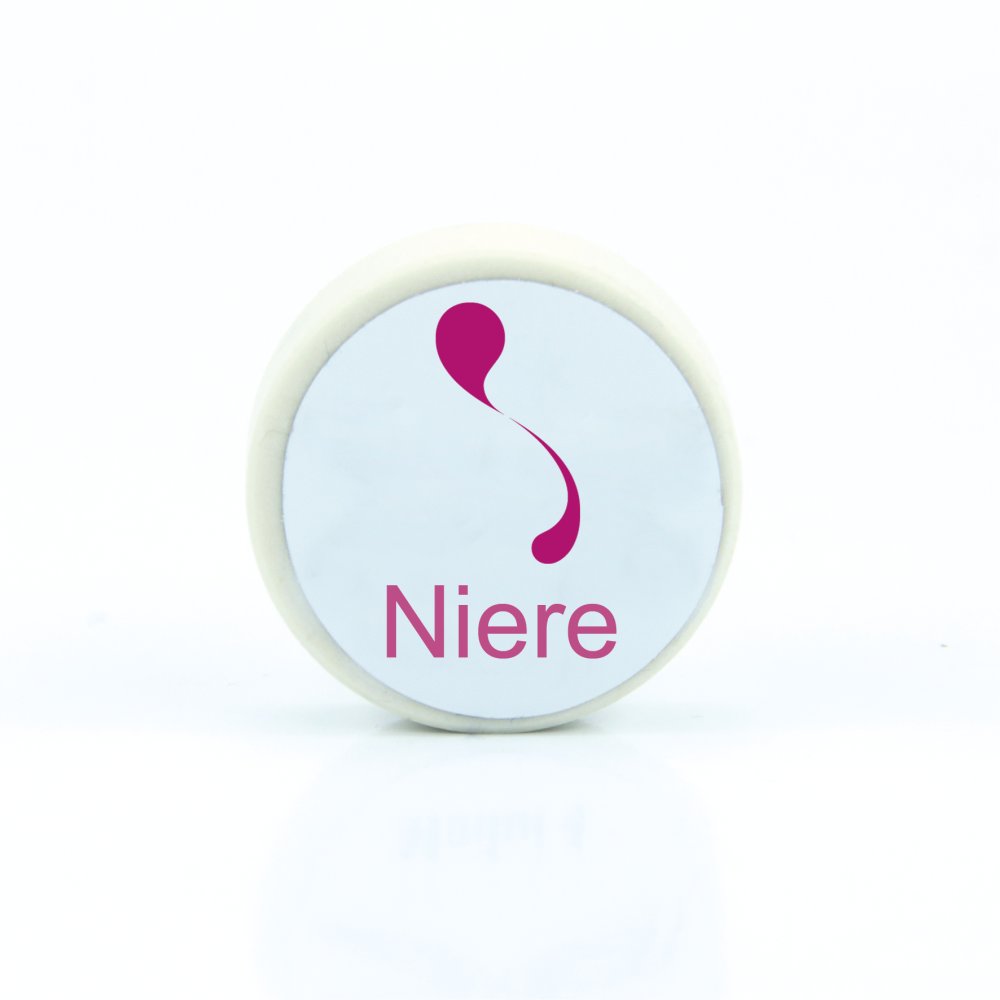 Symbio-Harmonizer Modul: Niere (Erweiterung Modulkoffer)